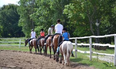 letnie-obozy-obrazek