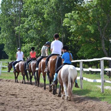 letnie-obozy-obrazek